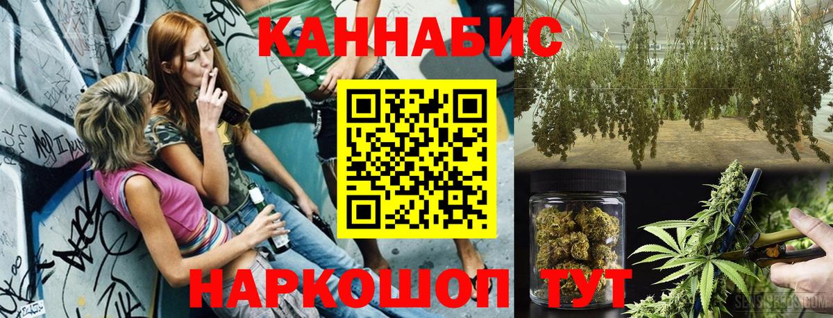 Каннабис индика Советск
